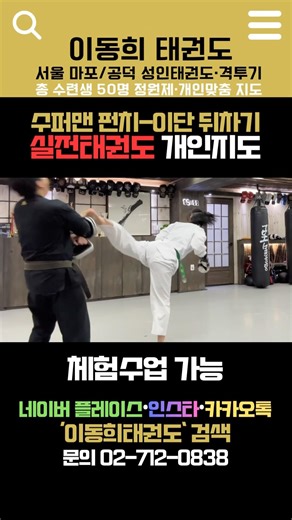 태권도 초록띠가 펀치, 발차기 모두 날아다니네;;