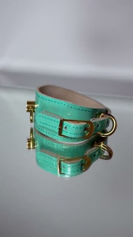 Leather Greyhound Collar Plated With 24k Gold - Tiffany Blue - Etsy