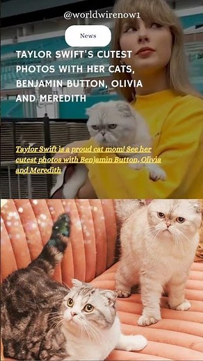 Taylor Swift’s Adorable Cat Moments With Olivia, Meredith & Benjamin Button #taylorswift #cat