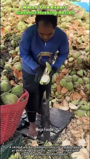 Watch This Expert Coconut Husking Action