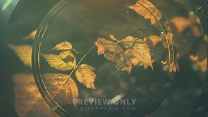 Restless Fall - 2 - Worship Backgrounds