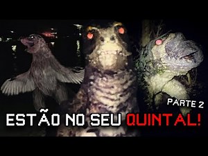 Weird Birds 2 - O que são essas coisas no meu quintal?! (ARG Horror)