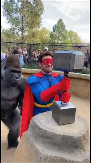 Gorilla vs. "Superhero" 🦸‍♂️🦍 Dumbbell Challenge! | Kind Hands #shorts #kindhands