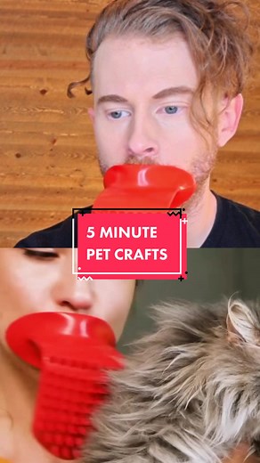 Testing out pet products with my dog @Angel Gonzalez!