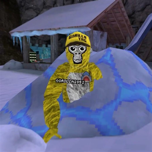 dany edit #gorillatag #gorillatagquest #vr #glitch #gtag