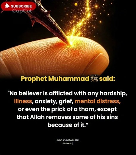 Every thorn carries a hidden mercy 🤲