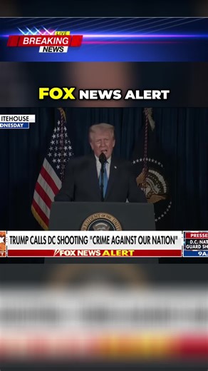 Conservative News Daily (@conservativenewsdaily)’s videos with original sound - Conservative News Daily