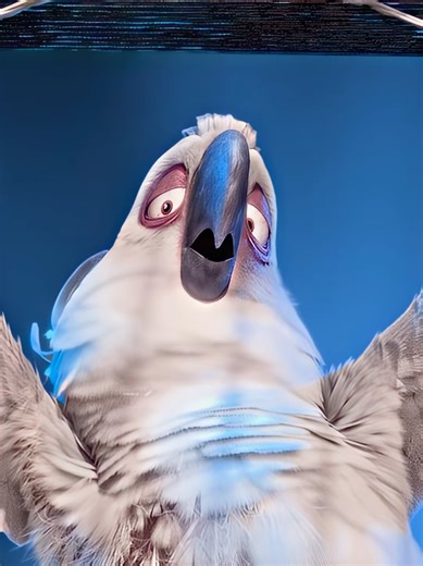 Rio: Pretty Bird / Villan song #rio #rioedit #bluesky #ihopenotbadedit #oratlessnotworst