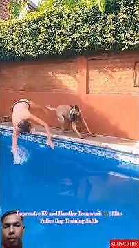 Impressive K9 and Handler Teamwork 🐕‍🦺 | Elite Police Dog Training Skills #malinois #k9master #dog