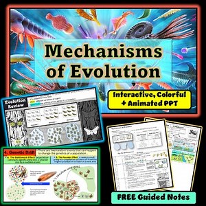 Mechanisms of Evolution Interactive & Animated PowerPoint (  FREE Guided Notes!)