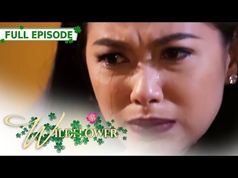 Full Episode 75 | Wildflower with ENG SUB | Maja Salvador, Joseph Marco, RK Bagatsing