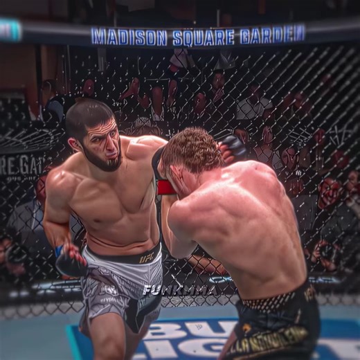 Maddalen vs Makhachev #ufc #mma | Islam Makhachev