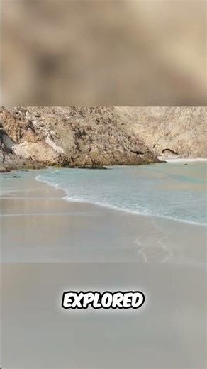 Discover Socotra, a paradise of untouched wonders and wild adventures