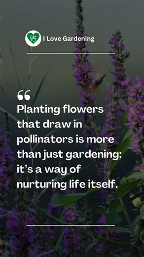 By planting flowers that attract pollinators, we’re not just enhancing our gardens—we’re playing a vital role in sustaining life itself. Every bloom nurtures our world, one pollinator at a time. 🌸🐝 | I love Gardening