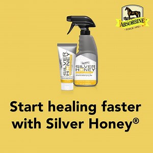 At last, equine wound care and skin relief that uses simple, natural ingredients and is proven effective! Discover how Silver Honey® can help your horses heal better, faster. | Absorbine