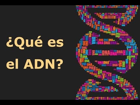 ¿Qué es el ADN?
