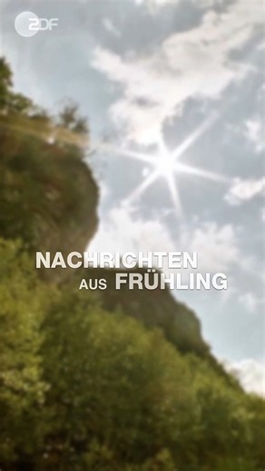 Ab heute heißt es in den kommenden drei Wochen wieder: Es gibt Nachrichten aus Frühling! Dieses Mal zur Folge: "Vergiss mein nicht" #frühling Zum Film: kurz.zdf.de/Frueh426/ Zur Reihe Frühling: https://fruehling.zdf.de | Herzkino im ZDF