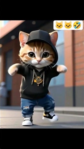 kucing dance music suara motor #kucing #dance #viral