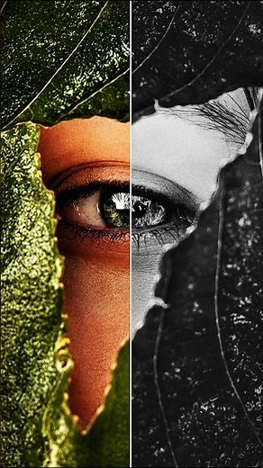 How to Colorize Black & White Photos with AI – Easy Tutorial