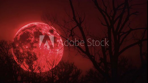 Distant trees are silhouetted against the backdrop of the red moon creating a hauntingly beautiful scene.