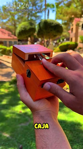 Unique Device Called Useless Box