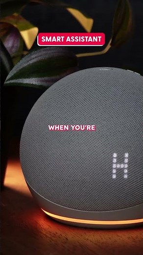 Your Smart Home Starter Pack, Explained | Next Upgrade