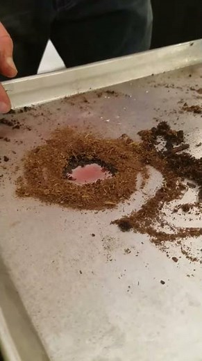 Oil Absorbent- Dehydrated Peat Moss demonstration