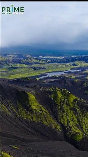Naturaleza Pura en 4K ULTRA HD #4k #naturelove