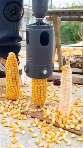 82K views · 241 reactions | Corn Sheller Machine Corn Strip Thresher ️ | Ming Tools | Facebook