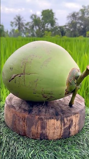 Greatest Knife Coconut Cutting Skills