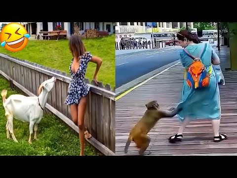BEST OF THE WEEK! Try Not To Laugh Challenge Compilation | Epic Fails & Hilarious Moments