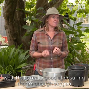 85K views · 2K reactions | Millie shares her DIY tips and tricks for propagating slow-to-germinate seeds. | Gardening Australia | Facebook