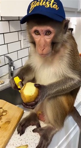 He thinks he's a chef 🔪🥔 (He is)