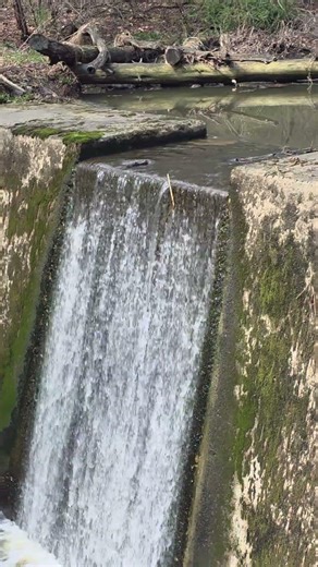 Never never gonna give you up #nature #fun #fyp