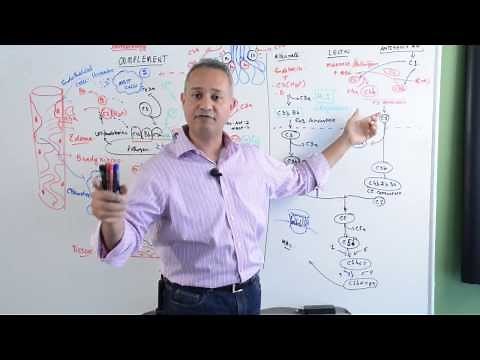 Immunology Lecture 17 Complement System