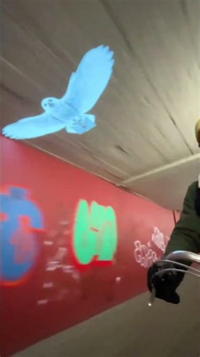 best way to use a projector