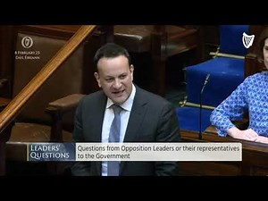 Taoiseach urges TD to not play into far right's argument