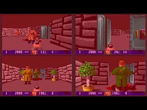 Splitwolf is a Wolfenstein 3D mod that adds local split-screen and a mini-tank