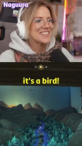 I made Birds! Magic Mountain-Seagulls of course. #worldofwarcraft #wowhousing | Naguura