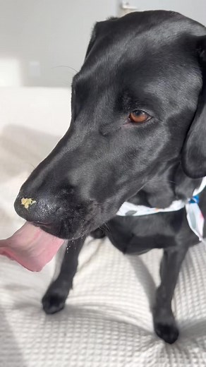 2.3K views · 25 reactions | a foodie just like his mom  find someone who loves you as much as mo... (7222277670879497515) | Tuesdays Wmorrie | Facebook