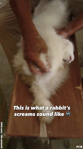 PETA (@peta) on X
