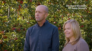 1.5K views · 1.3K reactions | Did you know that apples can be found in stores year-round thanks to controlled atmosphere storage? David, a New York apple grower, gives us insight into the process. | New York Apples | Facebook