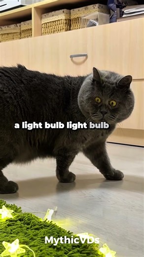 when Thomas Edison saw the light bulb for the first time!!!