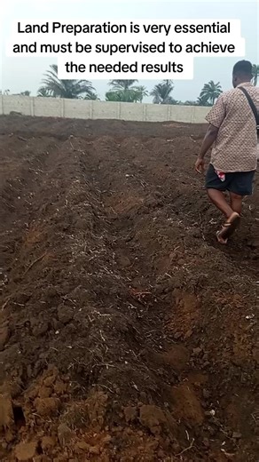 Essential Steps for Effective Land Preparation in Farming