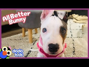 Dog With Stuck Muscles Needs Our Help! | Dodo Kids | All Better