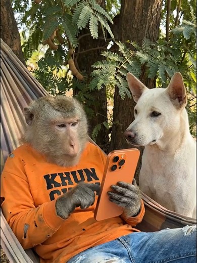 เฒ่ากะมีหัวใจเด้อ..หมอก: คลิปตลกบ้านๆ