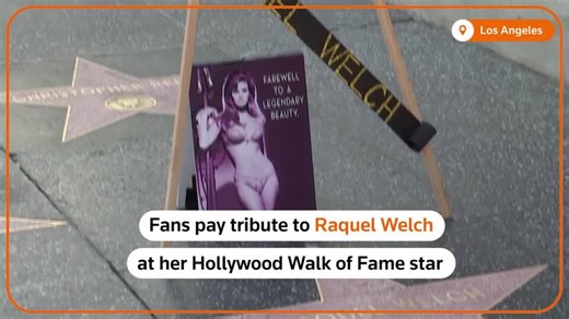 Actress Raquel Welch, screen siren of 1960s-70s, dead at age 82