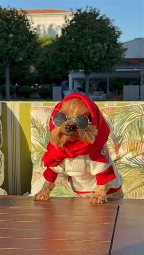 4K views · 897 reactions | Do you think summer is really over?  Or...