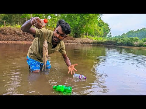 plastic bottle fish trap || Fishing video | New best plastic bottle trap 2026 🐟