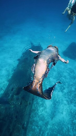 8.1M views · 207K reactions | Imagine a mermaid is singing this to a sailor she finds adrift at sea  #mermaid #seashanty #siren tail and top by Merbella Studios Inc. with Mermaid Raven 隆‍♀️ | Mermaid Sirenity | Facebook
